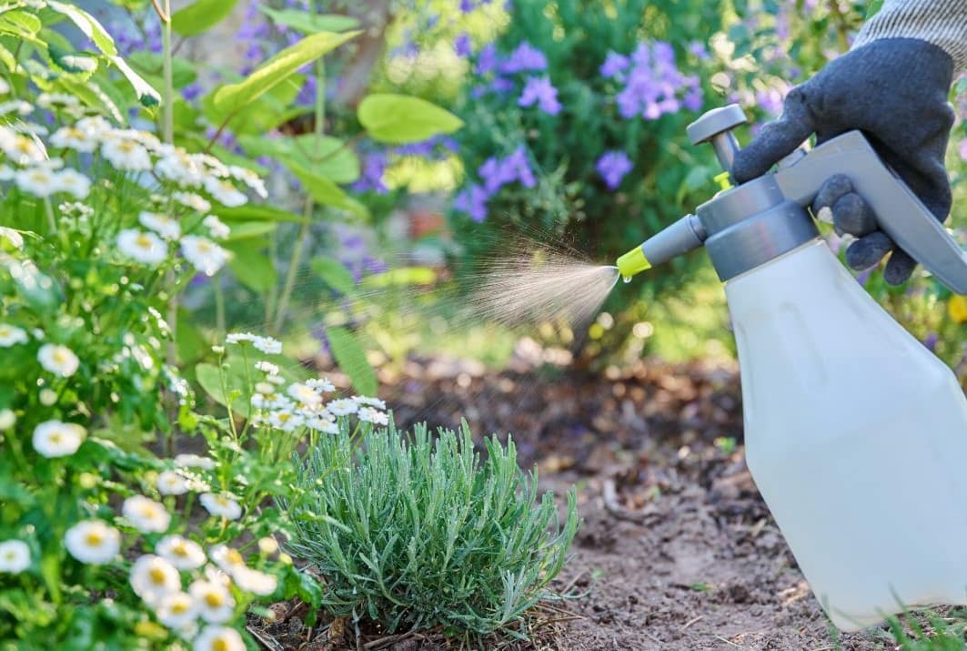 Biostimulátor: mikor és hányszor érdemes permetezni Algafixszel?